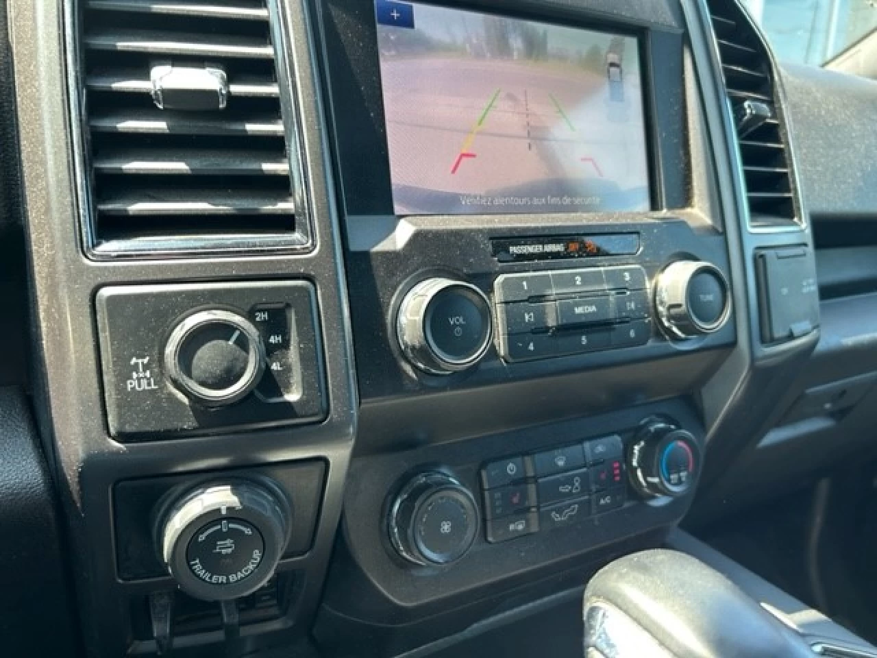 2020 Ford F-150 XLT Main Image