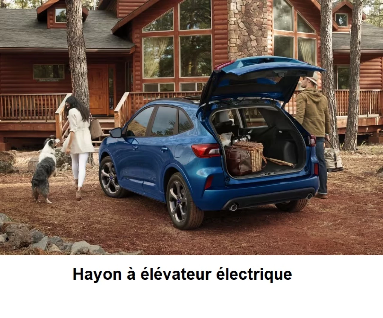 2023 Ford Escape ST-Line Hybride Image principale