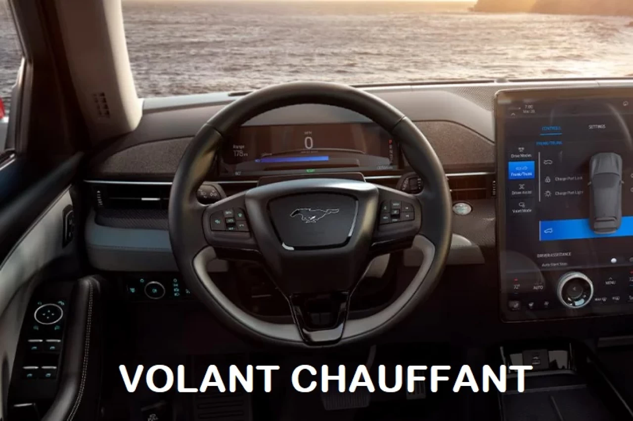 2023 Ford Mustang Mach-E Premium Main Image