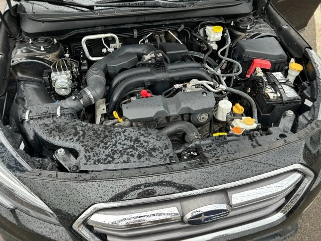 2019 Subaru Outback Limited Image principale