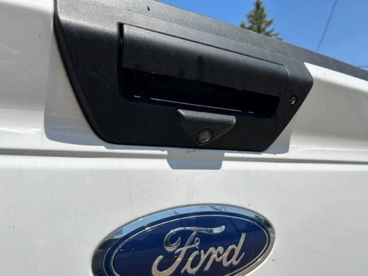 2020 Ford F-150 XLT Image principale
