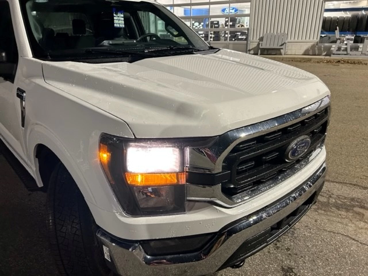 2023 Ford F-150 XLT Main Image