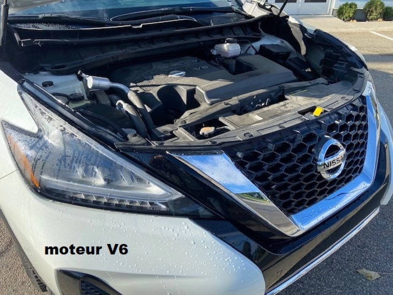 2020 Nissan Murano PLATINUM AWD Main Image