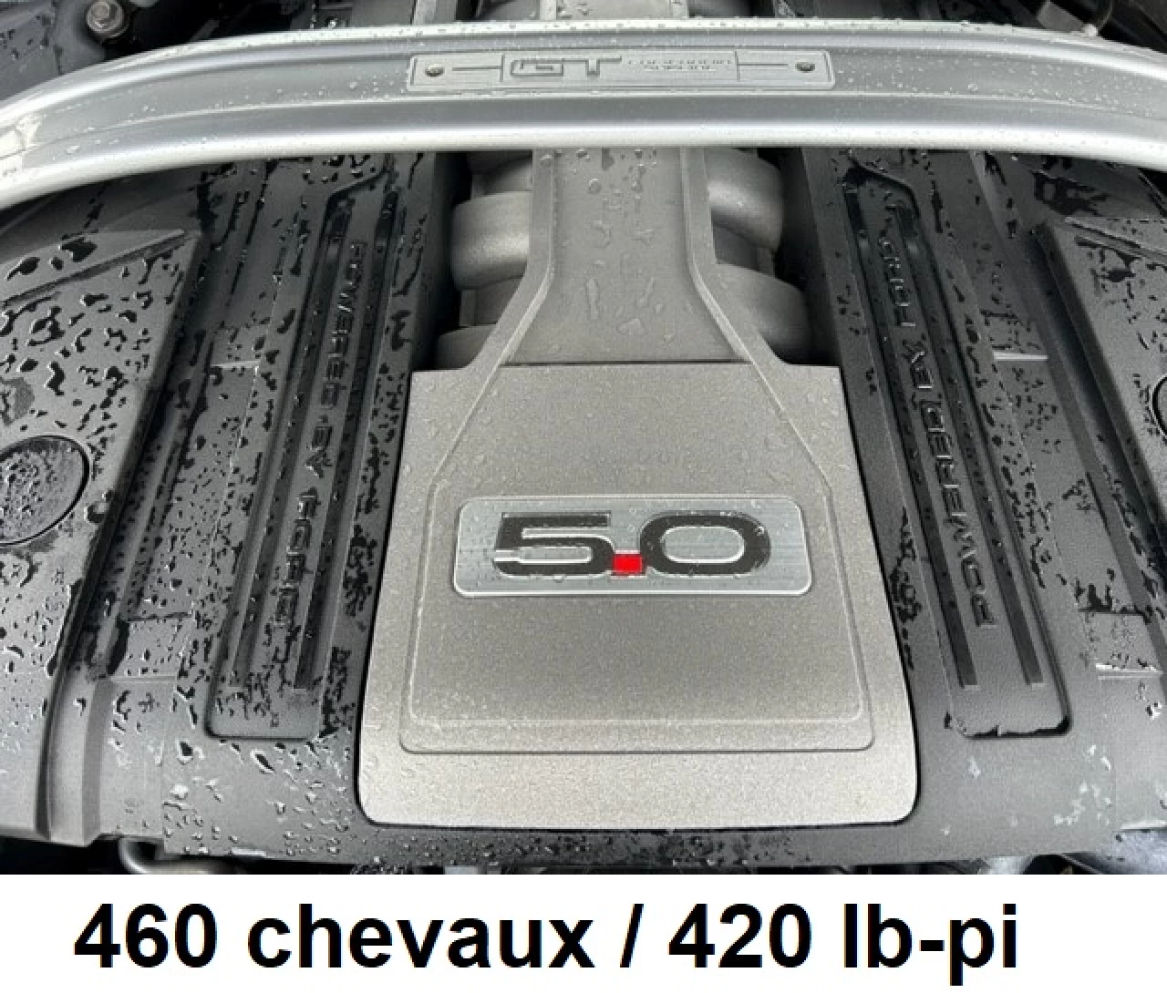 2020 Ford Mustang GT Premium Image principale