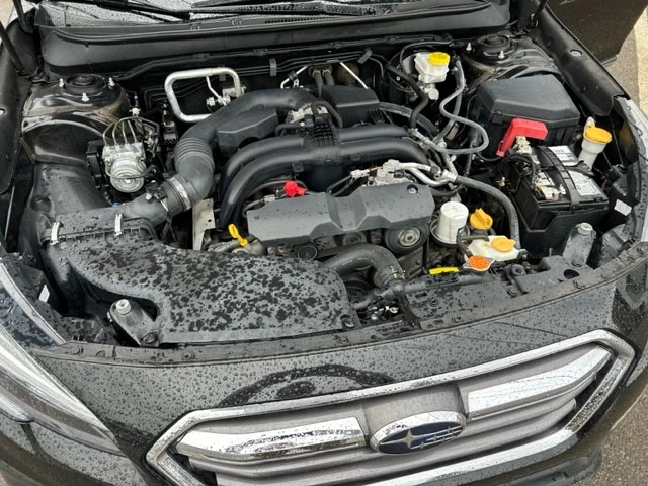 2019 Subaru Outback Limited Main Image