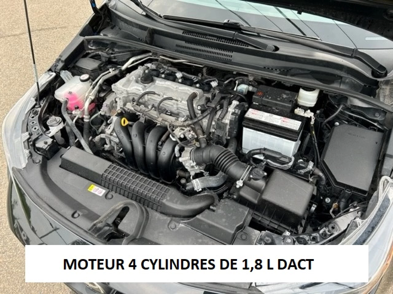 2020 Toyota Corolla LE Main Image
